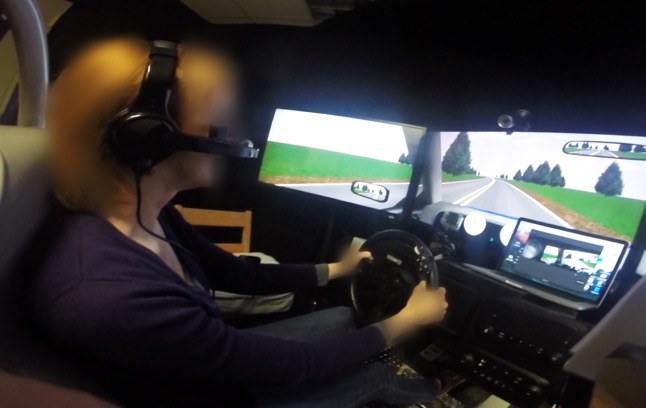 Photo of someone using the driving simulator.