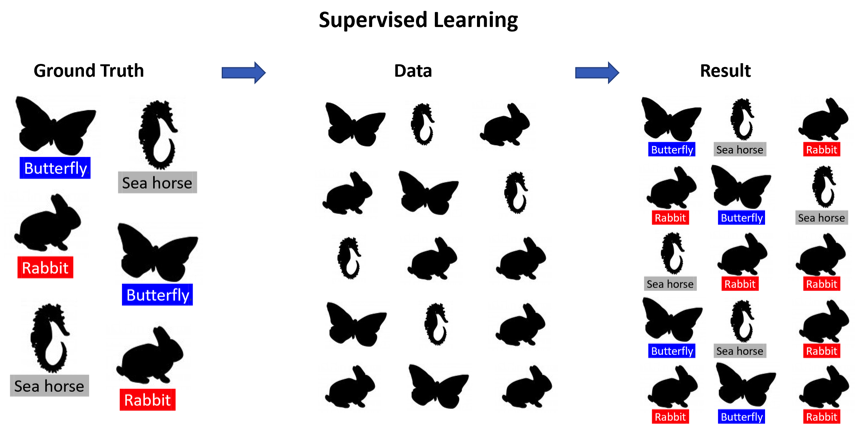 Drawings showing the progression of supervised learning from ground truth, to data input, to the result. Ground truth shows pictures and names of the pictures (example, butterfly), which helps define the results of the data.