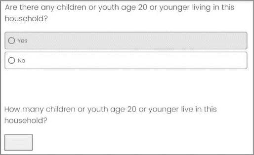 Screenshot of Are there any children or youth age 20 or younger living in this household? Screen includes Yes and No filter options and a numeric write-in field.